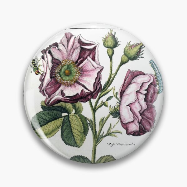 Item preview, Rosa provincialis Vintage Botanical Print  designed and sold by Douglas E. Welch Design and Photography.