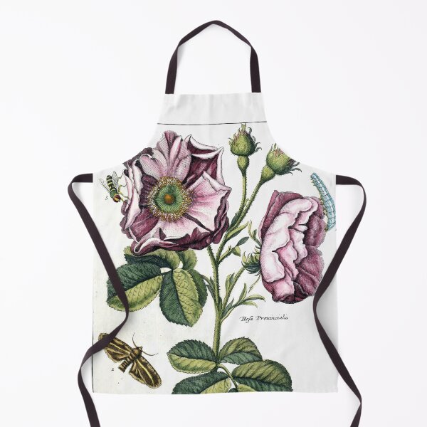 Item preview, Rosa provincialis Vintage Botanical Print designed and sold by Douglas E. Welch Design and Photography.
