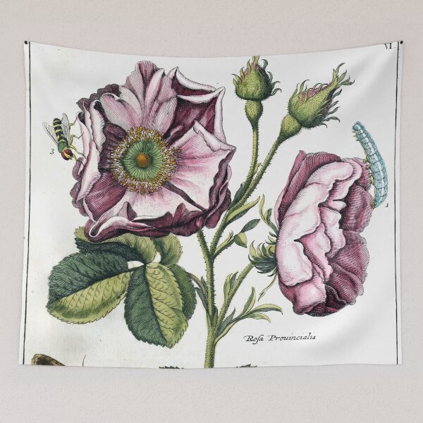 Item preview, Rosa provincialis Vintage Botanical Print  designed and sold by Douglas E. Welch Design and Photography.