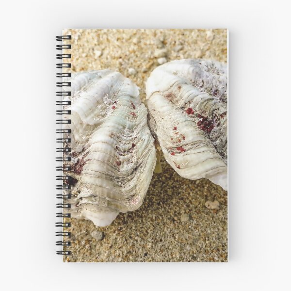 Item preview, Beach sand Sea shell designed and sold by Tanja Dianova.