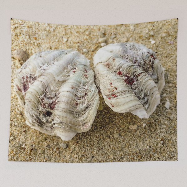 Item preview, Beach sand Sea shell designed and sold by Tanja Dianova.