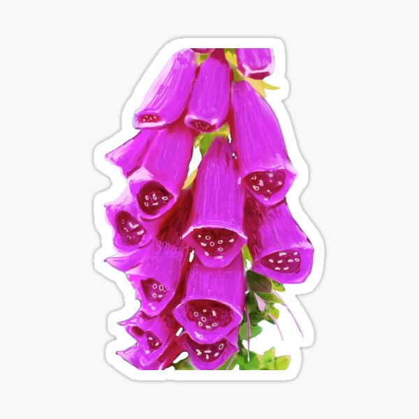 Aperçu de l'œuvre FOXGLOVE ART EN ROSE créée et vendue par Karen Harding Art and Illustration .