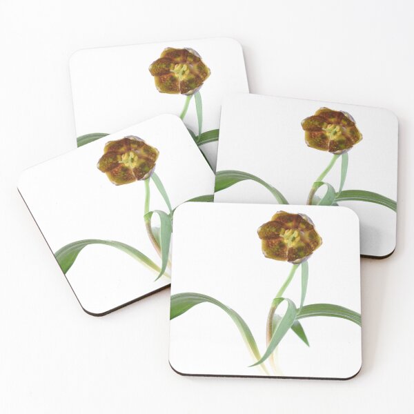 Item preview, Fritillaria davisii  Davis fritillary  designed and sold by Chris Burrows.