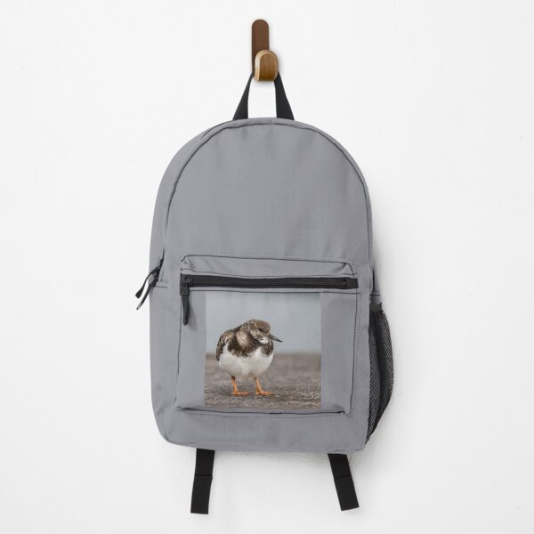 Item preview, Ruddy turnstone, Cute looking bird, at Azores islands. designed and sold by AylaHarbich.