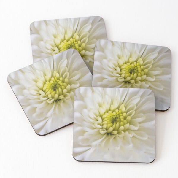 Item preview, Chrysanthemum flower with softened edges designed and sold by Graphics By Craig.