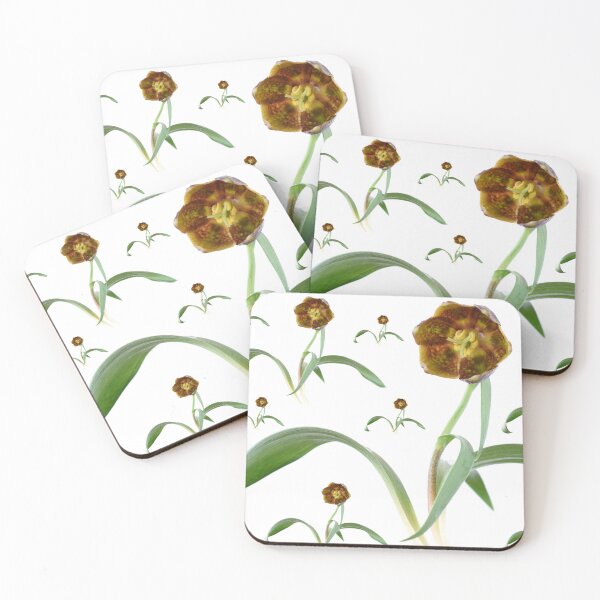 Item preview, Fritillaria davisii  Davis fritillary  designed and sold by Chris Burrows.