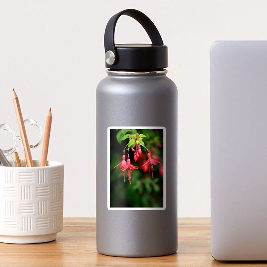 Fuchsia Hedge at Loch Na Fooey 3 Sticker