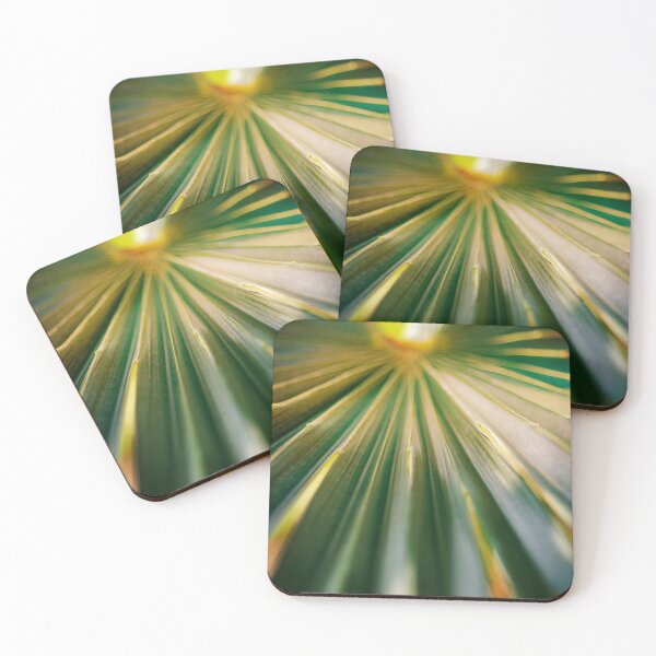 Artikelvorschau, Palmkaktus entworfen und verkauft von Efineart.