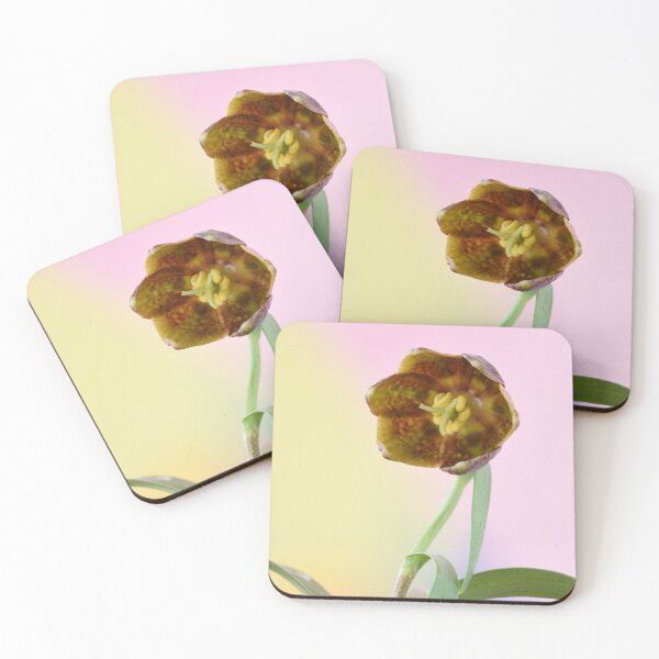Item preview, Fritillaria davisii Davis fritillary, designed and sold by Chris Burrows.