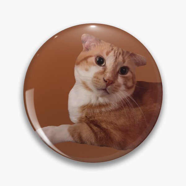Item preview, Francey photo burnt orange designed and sold by Francis Withtheears.