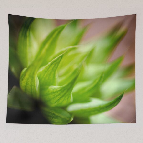 Item preview, Green bowl cactus designed and sold by Efineart.