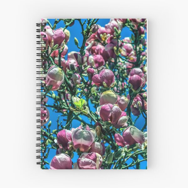 Item preview, Magnolia 3 designed and sold by David Bassan.