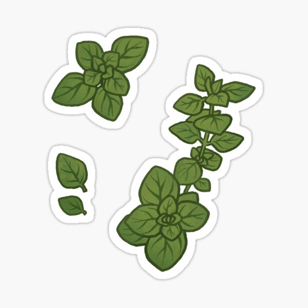 Oregano Sticker Sticker