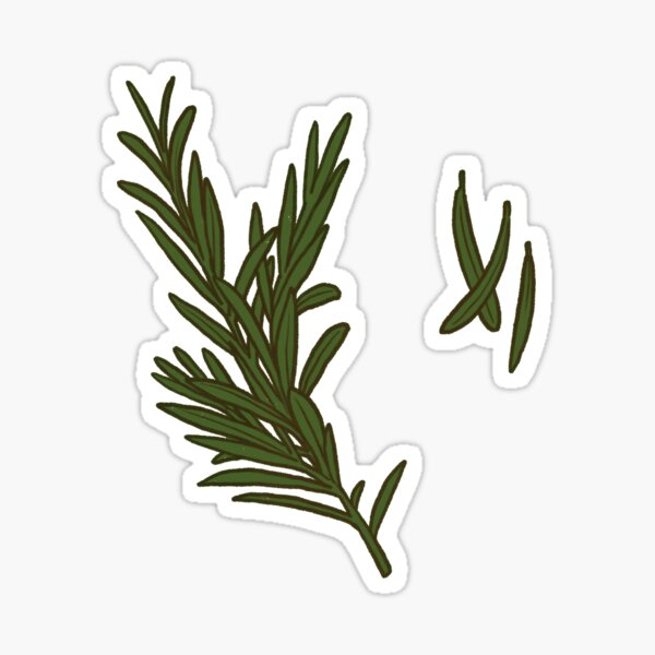 Rosmarin Sticker Sticker