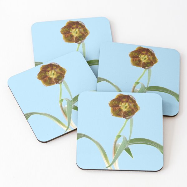 Item preview, Fritillaria davisii Davis fritillary designed and sold by Chris Burrows.