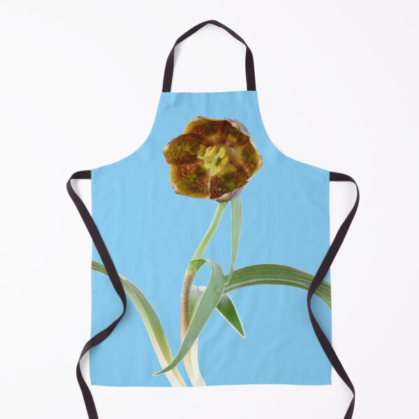 Item preview, Fritillaria davisii Davis fritillary designed and sold by Chris Burrows.