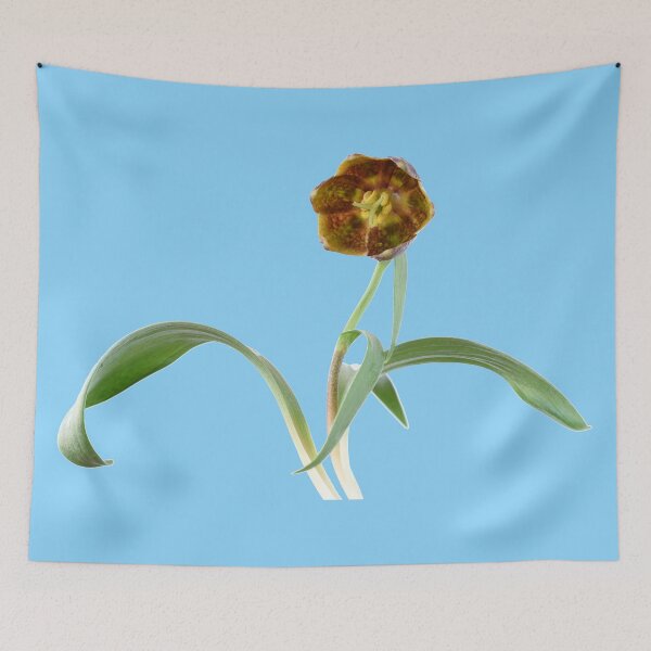 Item preview, Fritillaria davisii Davis fritillary designed and sold by Chris Burrows.
