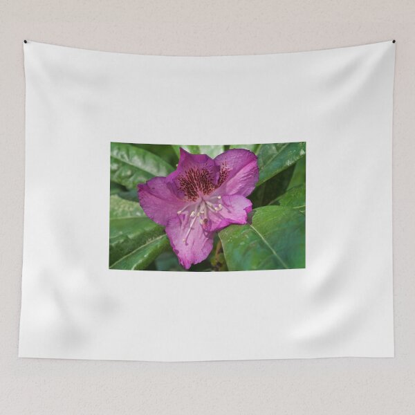Item preview, Pink Macro designed and sold by D-GaP.