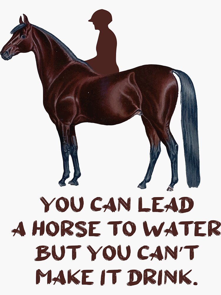 "You can lead a horse to water but you can’t make it drink." Sticker by