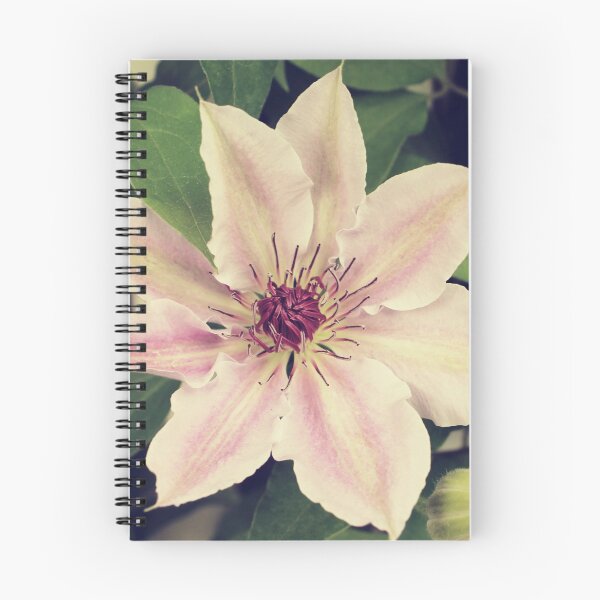 Item preview, summer flowers - four designed and sold by greatnorris.