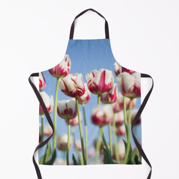 Item preview, lovely red and white tulips designed and sold by nigejohn.