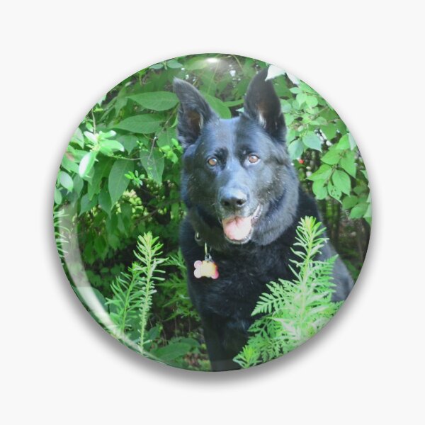 Item preview,  Black German Shepherd  designed and sold by Cobleighcrewcre.