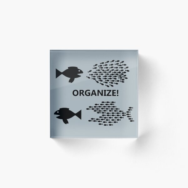 Organize! Fish Acrylic Block