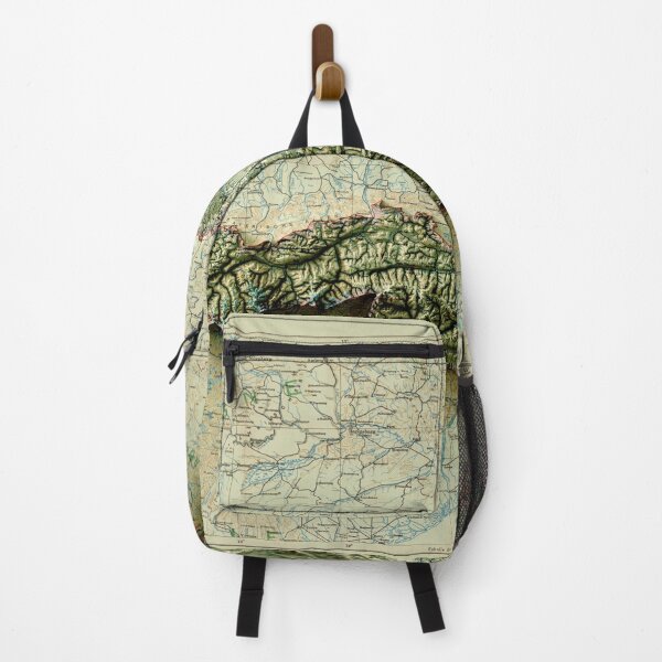 Item preview, 1919 Austria Relief Map 3D digitally-rendered designed and sold by ThinkAboutMaps.