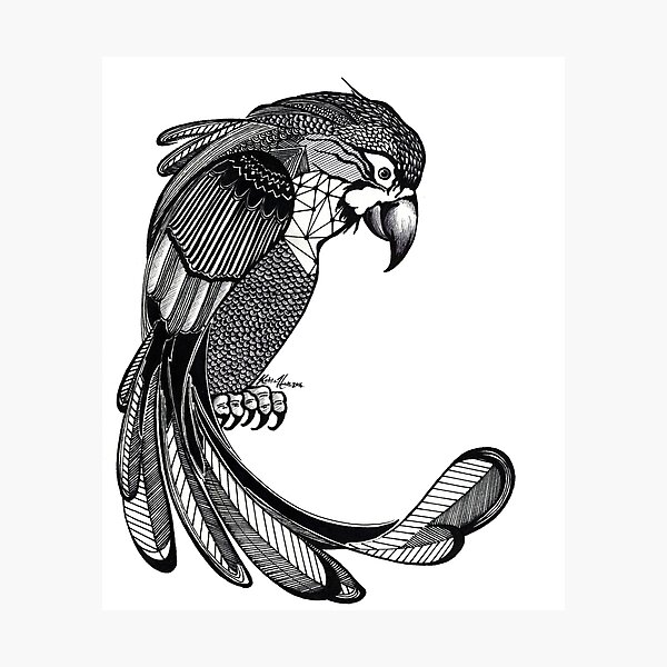 Item preview, Patterned Parrot designed and sold by Katrina Hass.