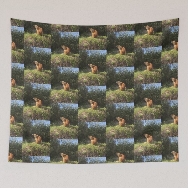 Item preview, Australian dingo scratching designed and sold by Captain-Jackson.