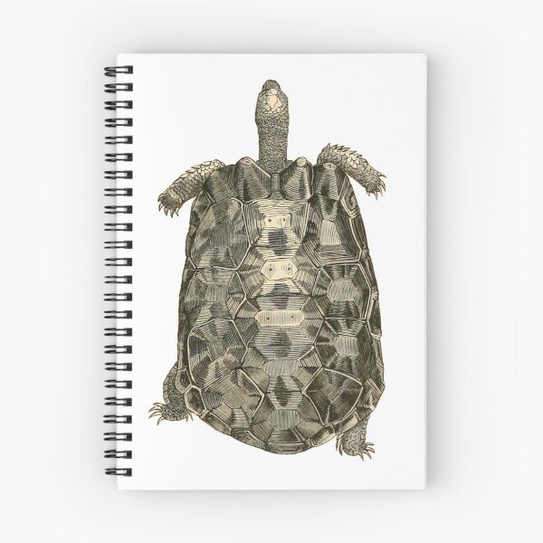 Item preview, Tortu designed and sold by nimeja.