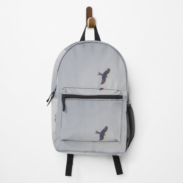 Item preview, Kite (bird) flying majestically. designed and sold by Andrew Hopgood.