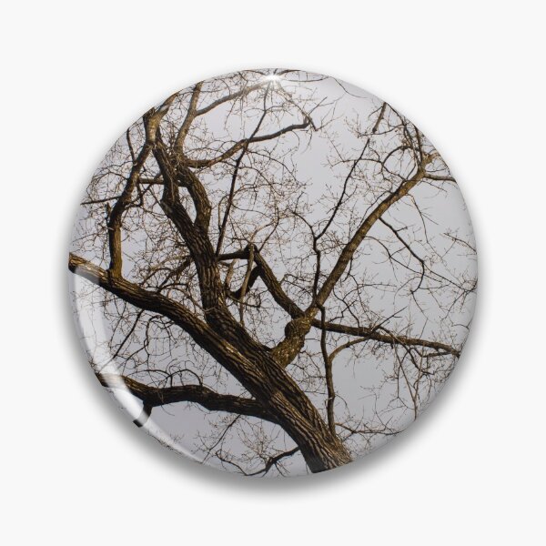 Item preview, Elm So Twisted designed and sold by stephenralph.