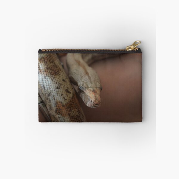 Item preview, Cryptarch-Boa Constrictor Portrait designed and sold by Steelclaw.