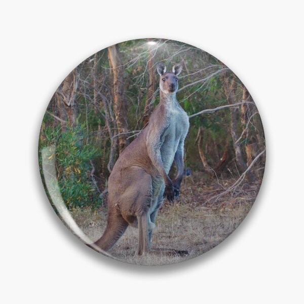 Artikelvorschau, Big Boy Kangaroo entworfen und verkauft von Bryds94.