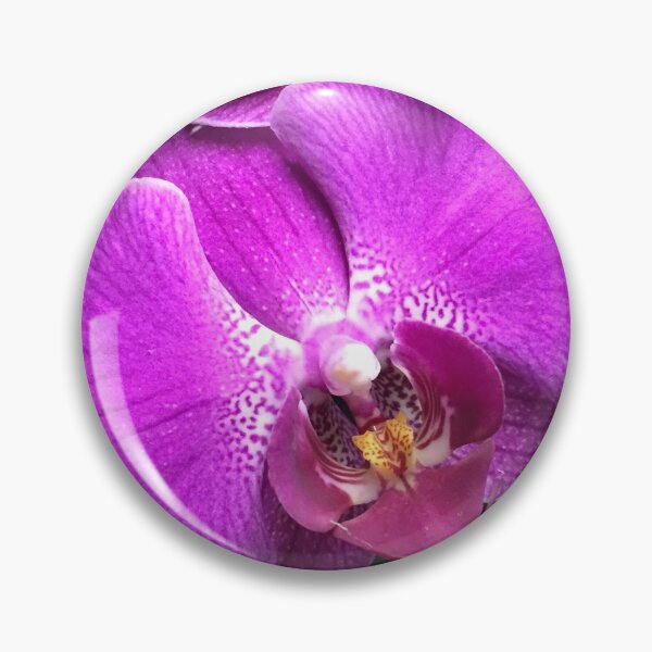 Aperçu de l'œuvre Orchidée rose et blanche créée et vendue par ArtistofTime.