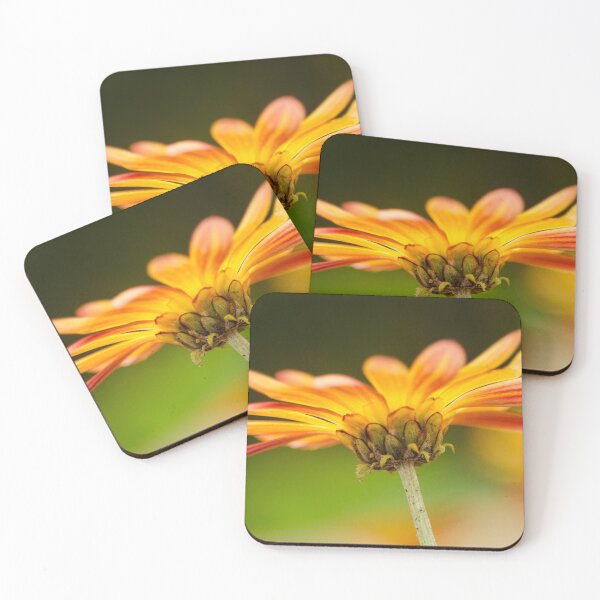 Item preview, Underneath orange Daisy  designed and sold by Efineart.