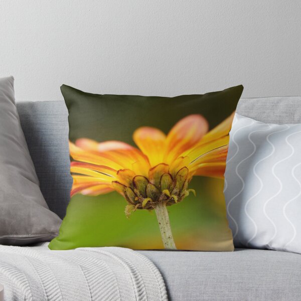 Artikelvorschau, Unter orange Gänseblümchen entworfen und verkauft von Efineart.