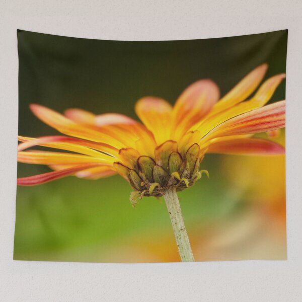 Item preview, Underneath orange Daisy  designed and sold by Efineart.