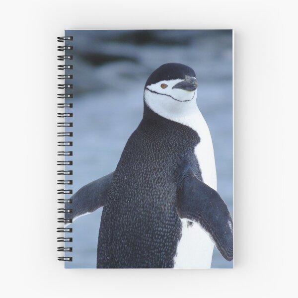 Item preview, Chin Strap Penguin, Antarctica designed and sold by Keljawa64.