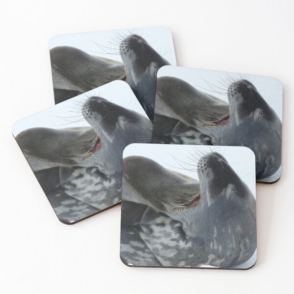 Item preview, Seal, Antarctica designed and sold by Keljawa64.
