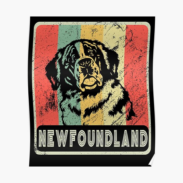 Vintage Newfoundland Dog Gift For Dog Lover Poster