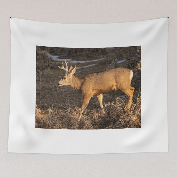 Item preview, Big Buck In The Wild designed and sold by FreelanceJim.
