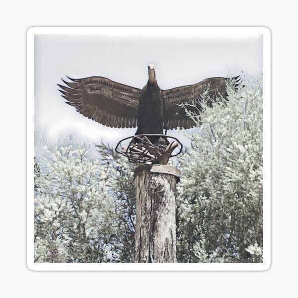 Eagle made from steel Sticker