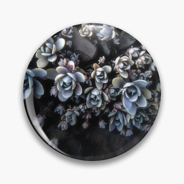 Item preview, Succulent Memories designed and sold by CiaravinoStudio.