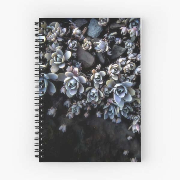 Item preview, Succulent Memories designed and sold by CiaravinoStudio.