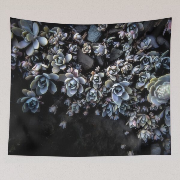 Item preview, Succulent Memories designed and sold by CiaravinoStudio.