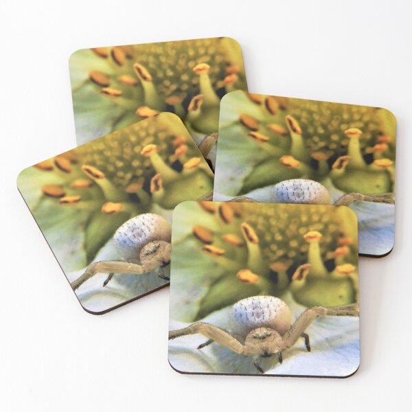 Item preview, Close Up Spider with Colorful Flower Background designed and sold by mrtraz.