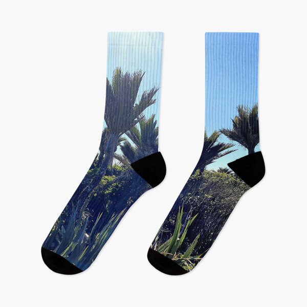 Item preview, Sun Kissed West Coast Nikau Palms designed and sold by Wild Blue Designs NZ.