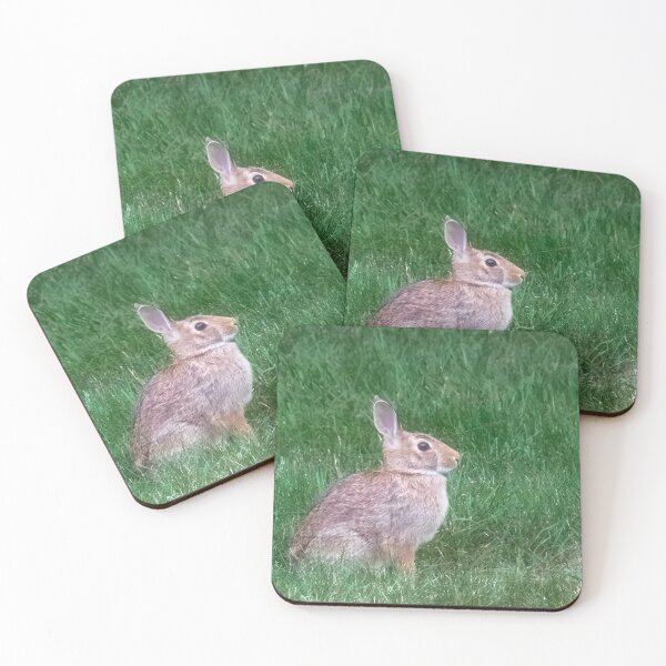 Item preview, A Rabbit At Attention In The Grass designed and sold by NewEndeavors.